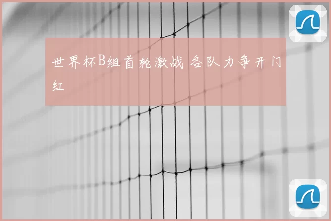 世界杯B组首轮激战 各队力争开门红