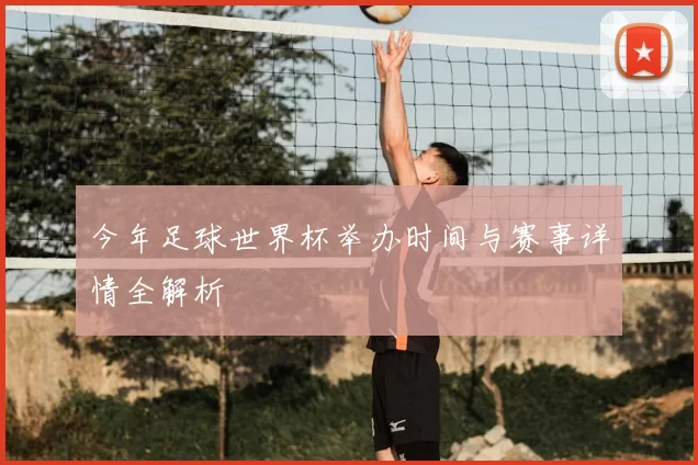 今年足球世界杯举办时间与赛事详情全解析