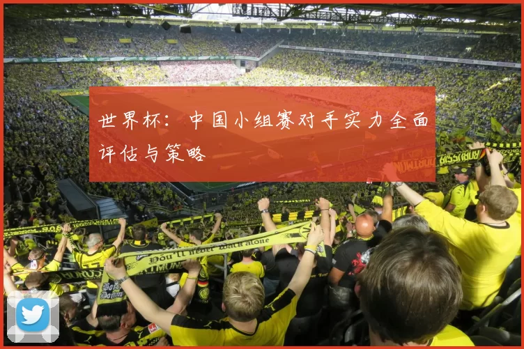 世界杯:中国小组赛对手实力全面评估与策略