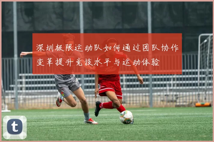 深圳极限运动队如何通过团队协作变革提升竞技水平与运动体验