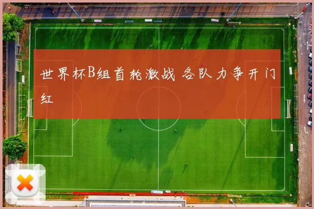 世界杯B组首轮激战 各队力争开门红