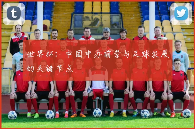 世界杯：中国申办前景与足球发展的关键节点