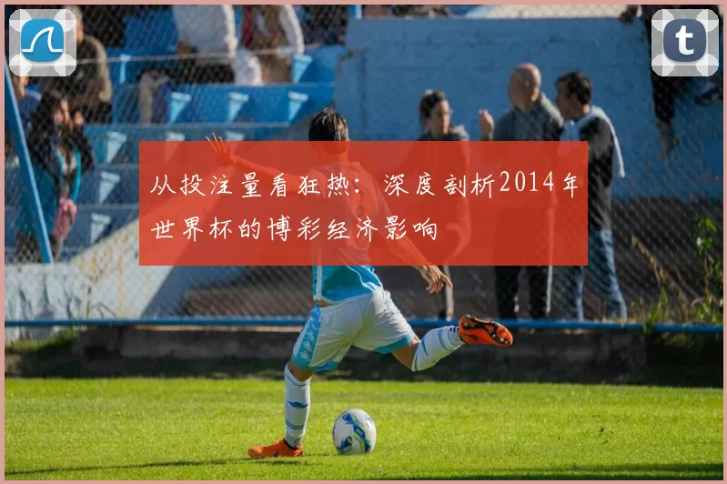 从投注量看狂热:深度剖析2014年世界杯的博彩经济影响