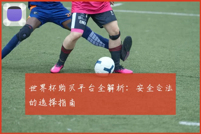 世界杯购买平台全解析:安全合法的选择指南