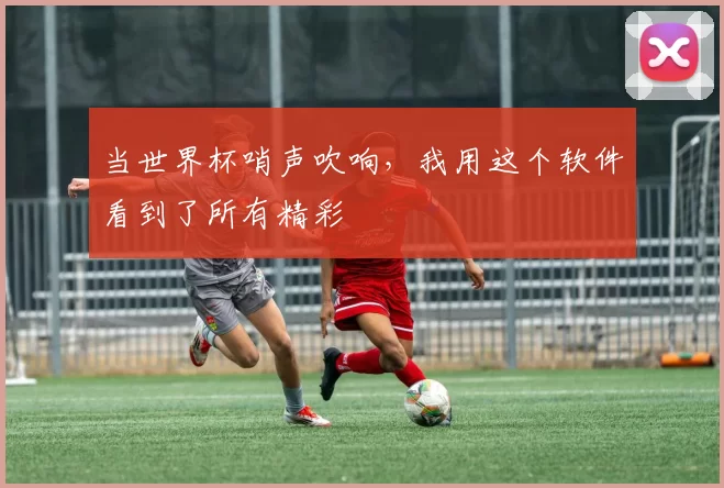 当世界杯哨声吹响,我用这个软件看到了所有精彩